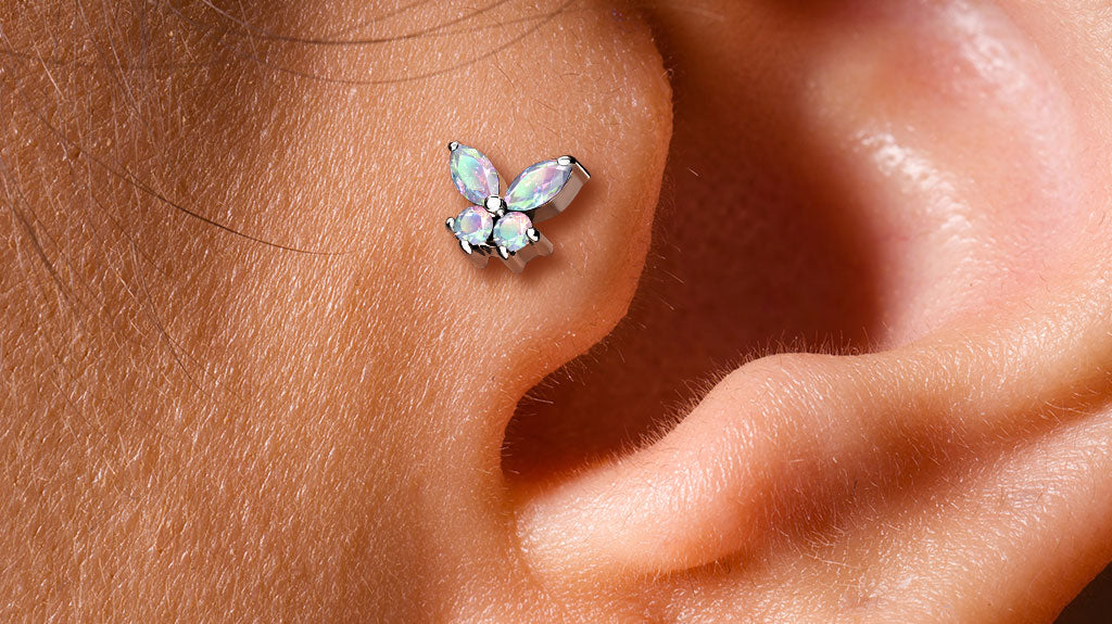 Everything you need to know about Tragus piercings