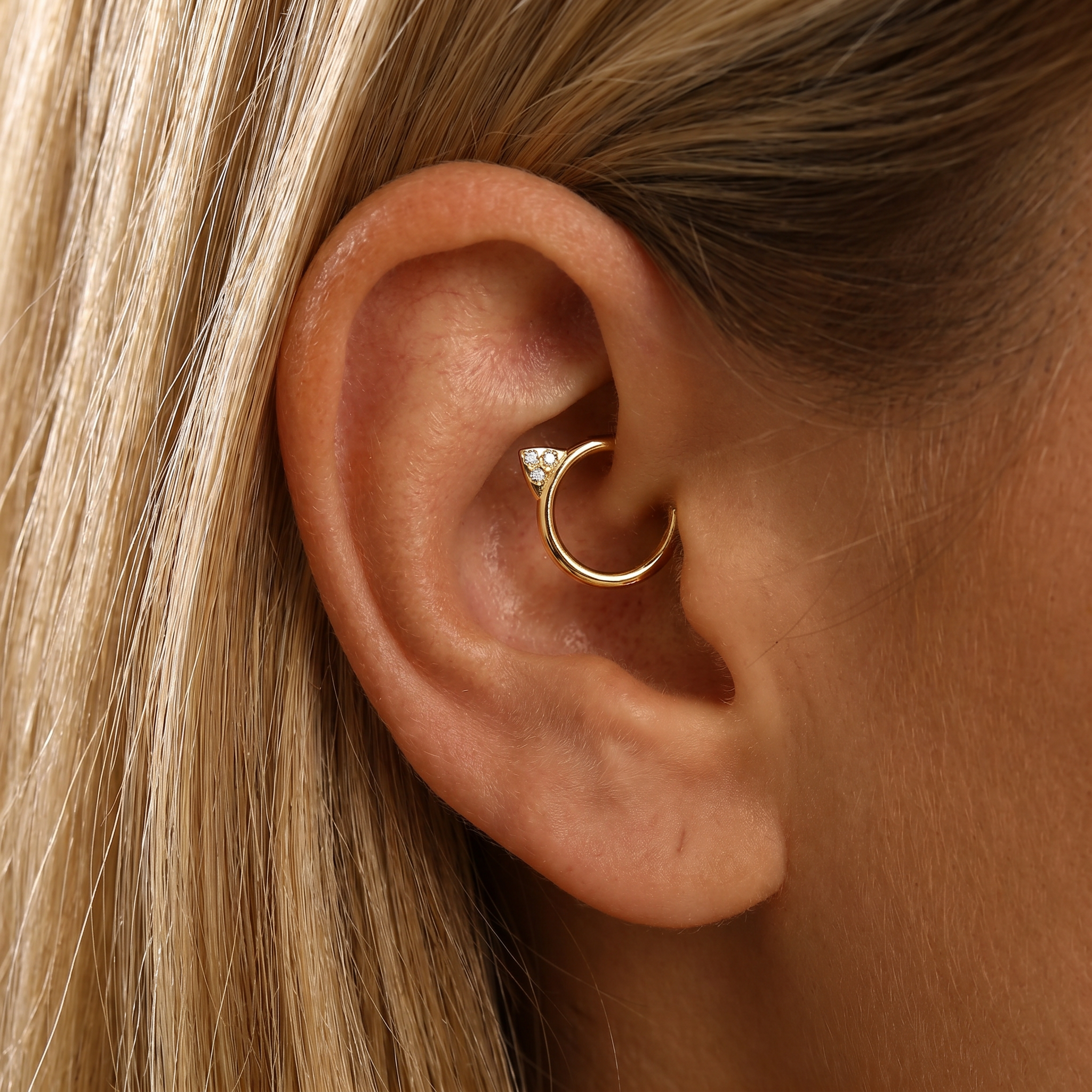 16 Gauge Titanium Crystal Kitty Hinged Segment Hoop
