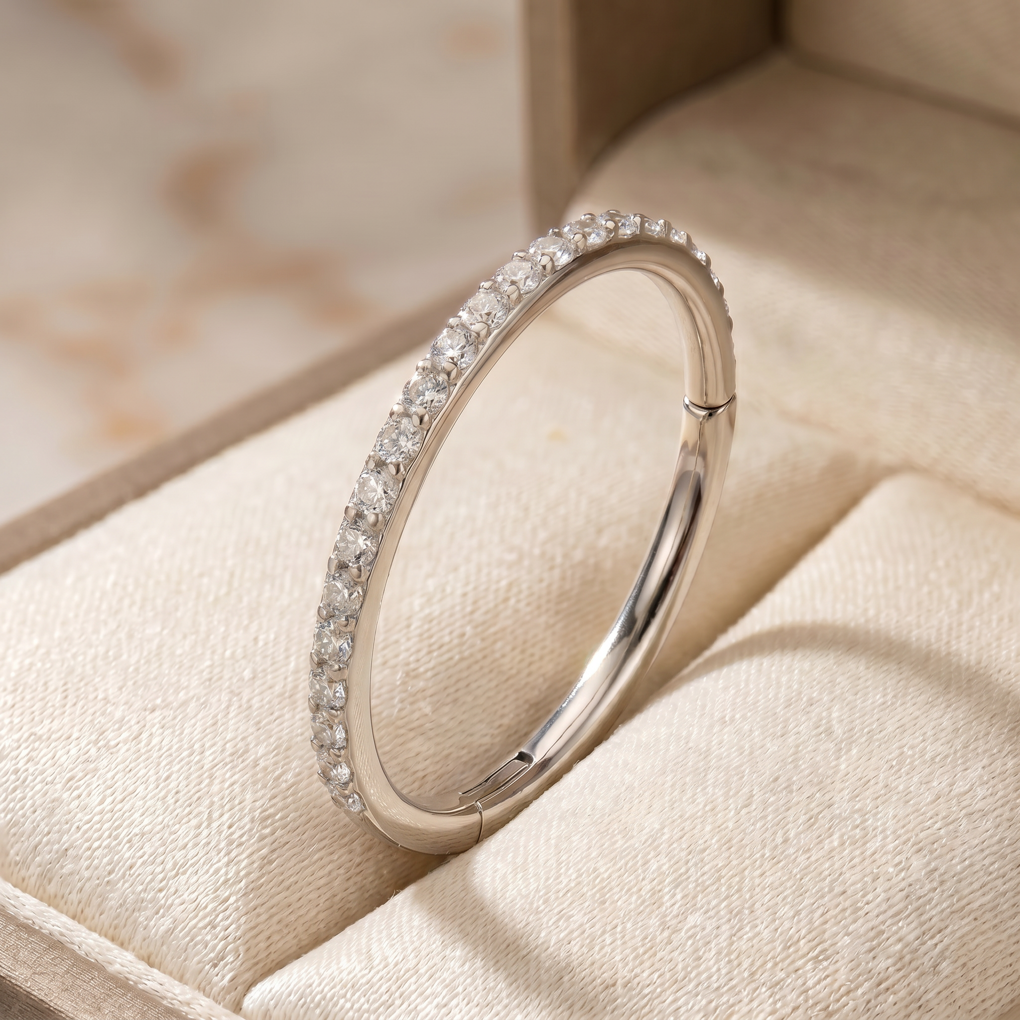 Ali Express Hinged Hoop Ring 20 Gauge Titanium Crystal Lined Hinged Hoop