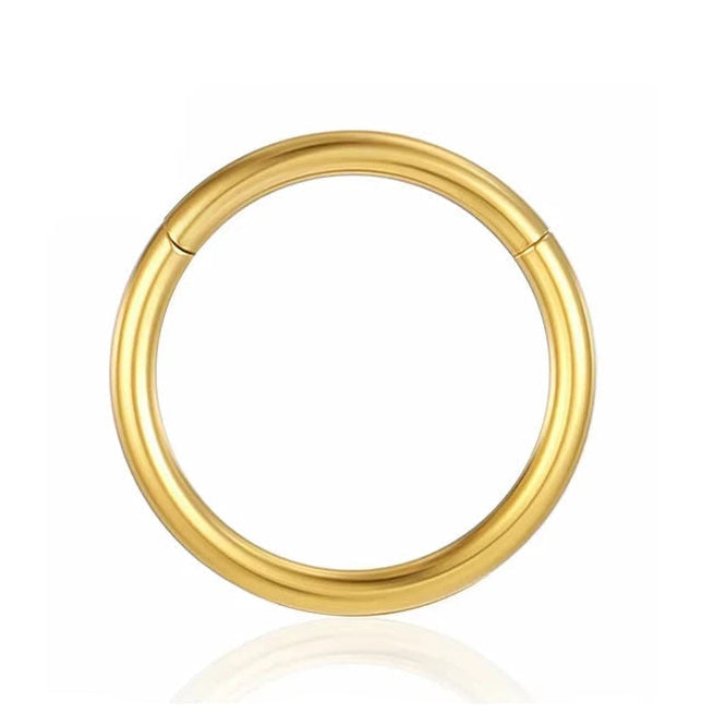 Cherry Diva Hinged Hoop Ring 6MM / Gold 20 Gauge Titanium Hinged Hoop Ring