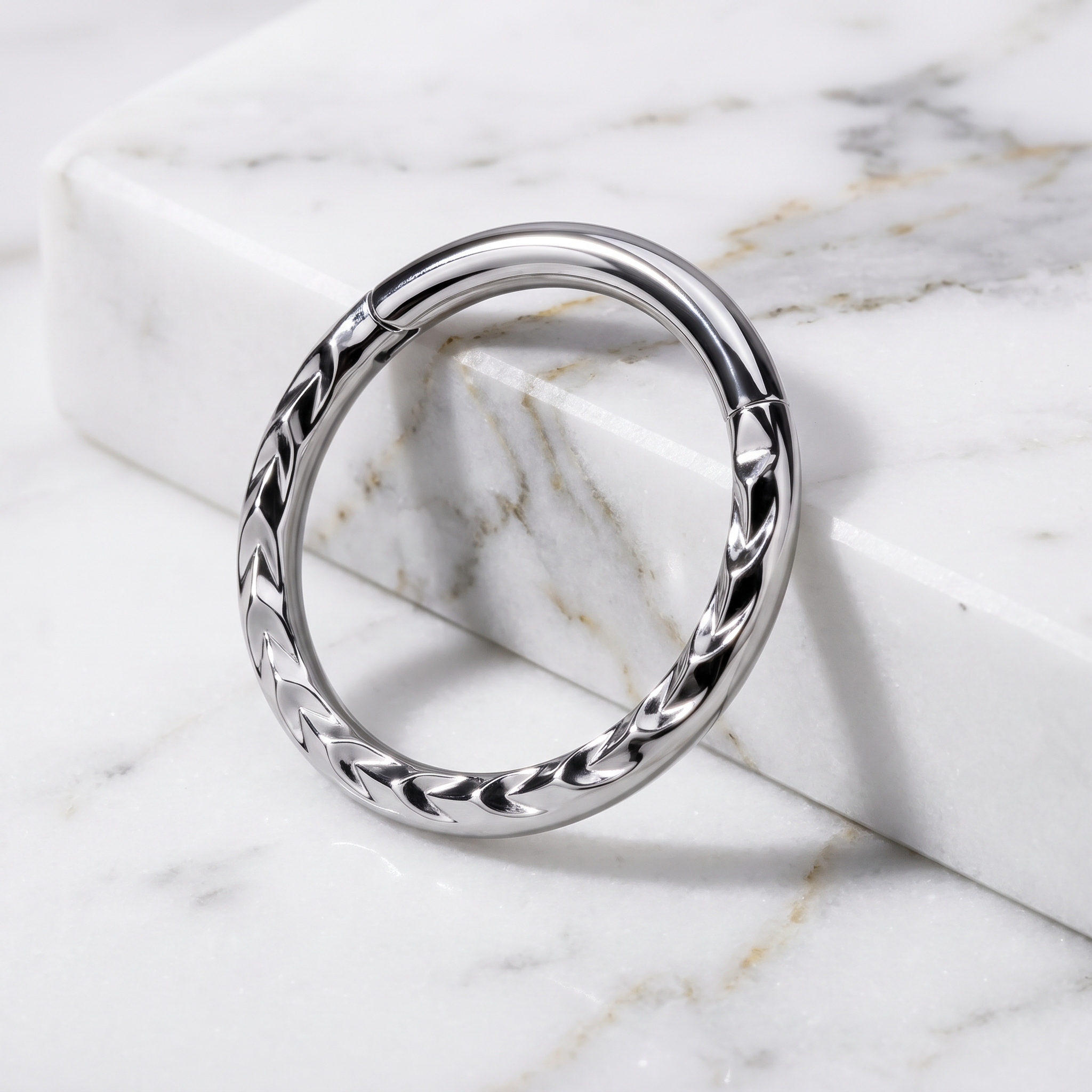 16 Gauge Hypoallergenic Silver Twisted Rope Hinged Hoop