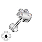 A silver-toned pet claw stud earring with four clear round-cut gemstones, shown on a white background with a circular 'Skin Safe Waterproof' badge in the bottom-left corner.