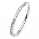 16 Gauge Titanium Crystal Lined Hinged Hoop