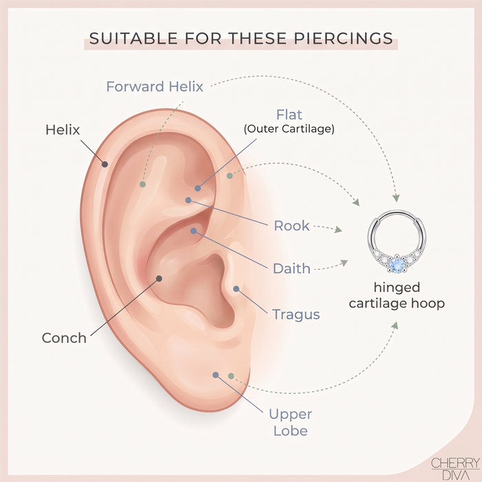 16 Gauge Silver Hypoallergenic Crystal Lined Hinged Segment Hoop Compatibility Placement Diagram