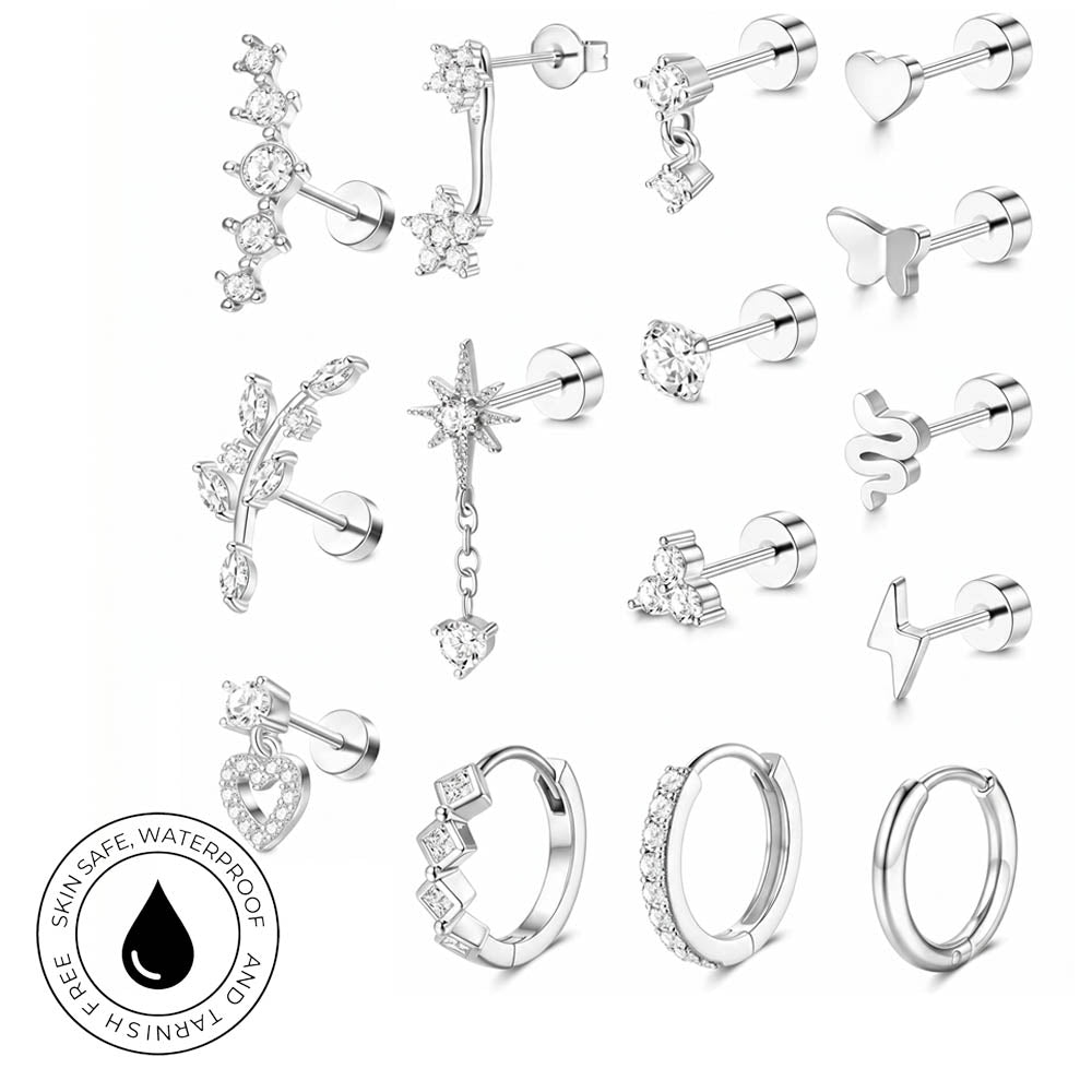 A collection of silver-toned stud earrings and hoop earrings with clear stones, arranged on a white background. The set includes various shapes such as stars, leaves, hearts, and geometric designs.