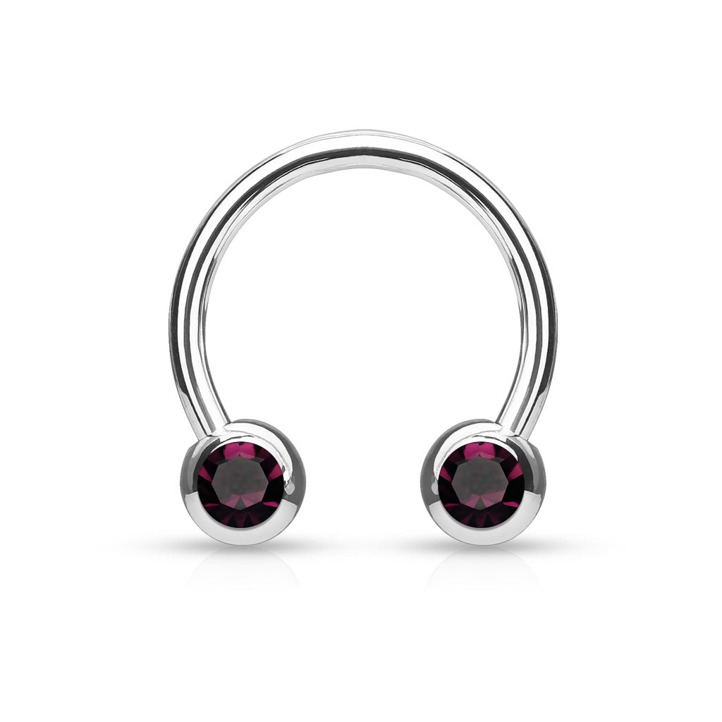 Cherry Diva Barbell PURPLE 14 Gauge Surgical Steel Twin Gemstone Ball End Circular Barbell