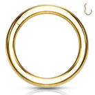 Cherry Diva Hinged Hoop Ring 14 Gauge Titanium Anodized PVD Hinged Hoop Ring