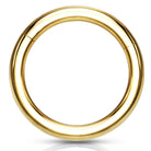 Cherry Diva Hinged Hoop Ring 20 Gauge Titanium PVD Hinged Segment Hoop