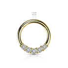 Cherry Diva Hinged Ring 16 Gauge Hinged Silver Five Crystal Hoop Ring