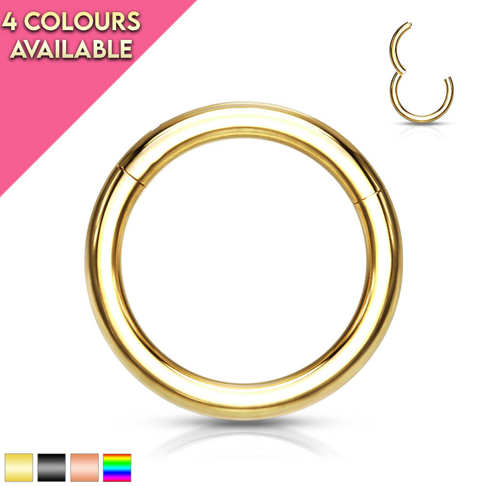20 Gauge Titanium Anodized PVD Hinged Hoop Rings